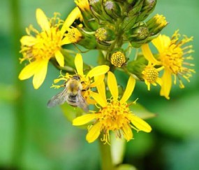  逆风翻盘绝境反击，电竞精神激励人心
