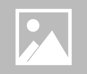  网球博物馆举办特展，珍贵藏品讲述百年发展历程  