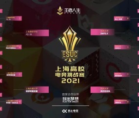  电竞选手指尖飞舞书写传奇篇章