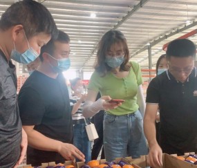  新援首秀梅开二度，完美融入进攻体系