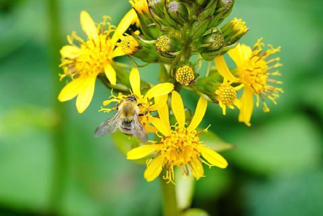  逆风翻盘绝境反击，电竞精神激励人心